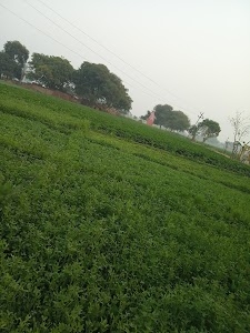 Lodhai