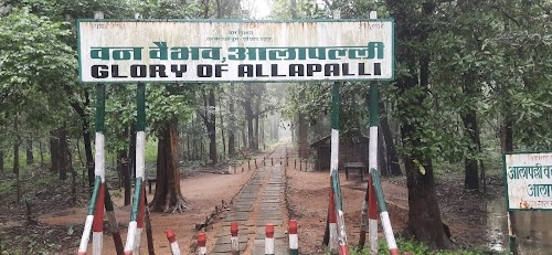 Glory of Allapalli Gadchiroli
