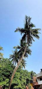 Shirgaon