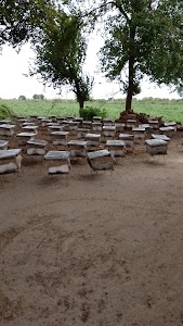 Ambedka park