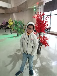 Aligarh city
