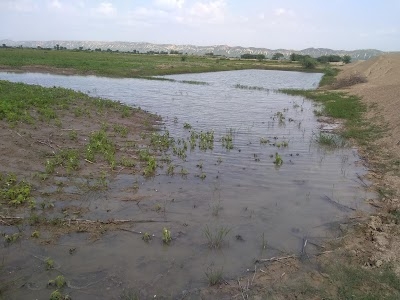 Ram GILASH farmhouse