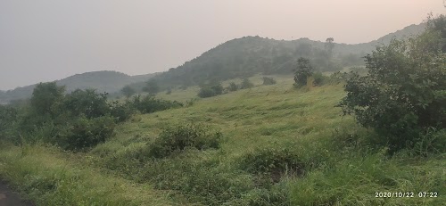 Dari