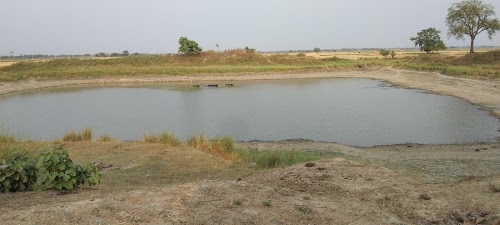 Nanda Mura