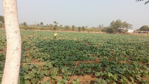 Lakhni