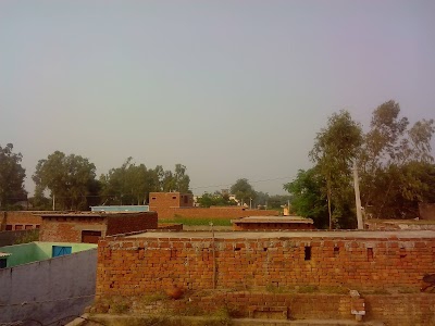 SAIFPUR FIROZPUR