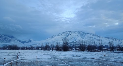 Sultania English Medium Public High School Saloora Ganderbal