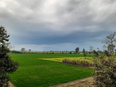 Thakur Jai Pal Singh Farms (Suryansh Pratap)
