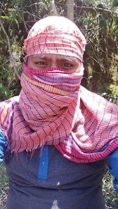 Nalangibari