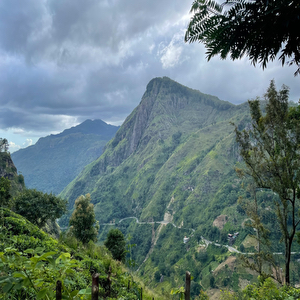 Little adam's peak View Point
