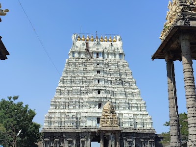 Golden Lizard Temple
