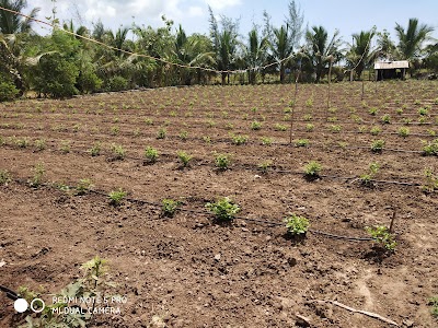 Anbazhagan Agricultural Form