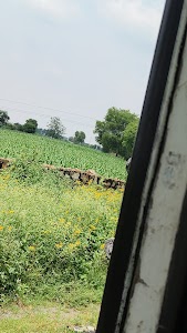 Bhiwadi