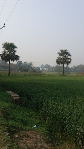 Surya Niketan Kusaiya Middle Schools