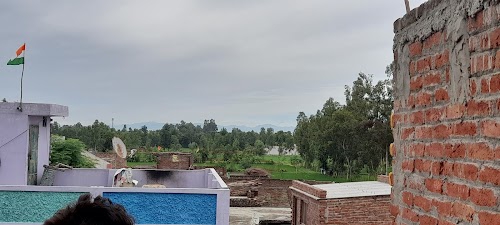 Tajpur Mafi