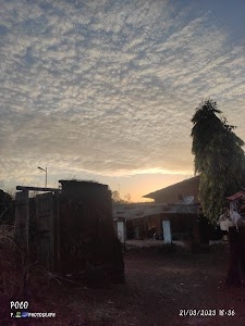 Shensari