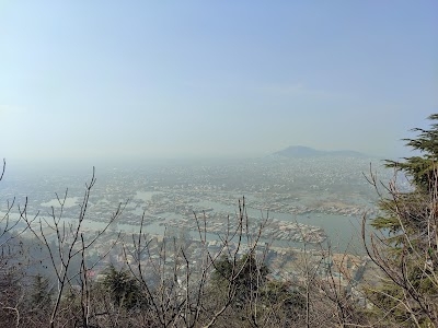 View Point