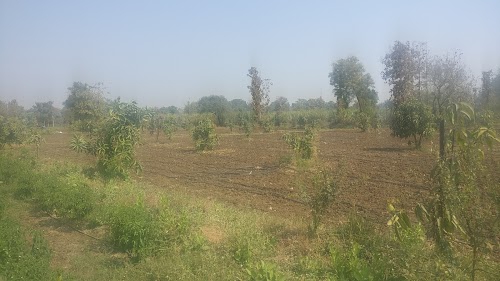 Chapaldhara