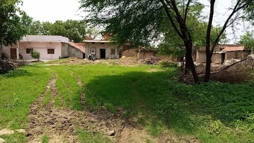 Dhauchat
