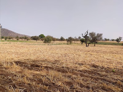 UJJAINIYA FARM HOUSE