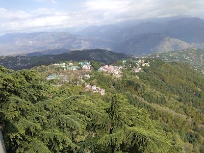 Moti Tiba