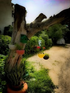 Charmwood Village, Sector 39