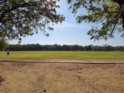 Cricket ground