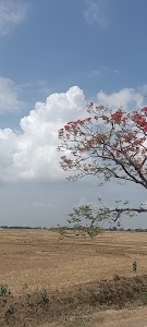 Bihar