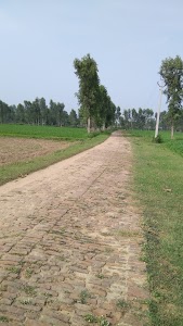 Meva Nagla