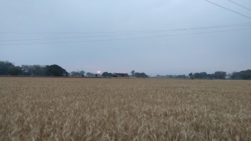 Barhan