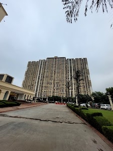 Saya Gold Avenue
