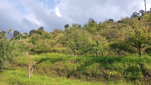 Khet