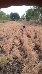 Wadegaon Gram Panchayat