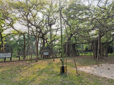 B Garden