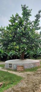 सहज जन सेवा केंद्र