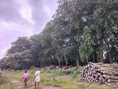 மத்திய மரக் கிடங்கு