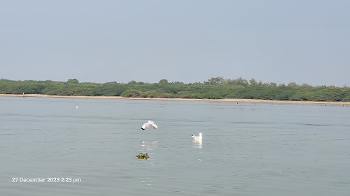 Chilika Lake boat centre