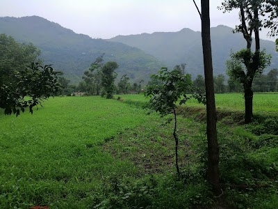Degwar Tarwan