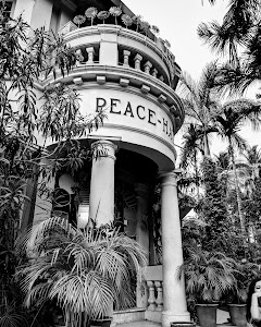 Peace Haven
