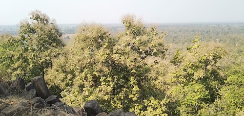 Pipri