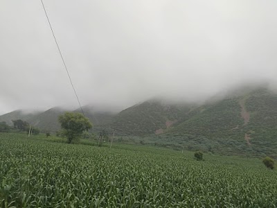 Mundawara