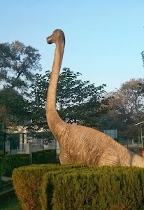 Cantt Public Park