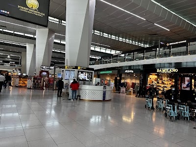 IGI Terminal 3 Arrival