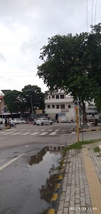 Sector 13