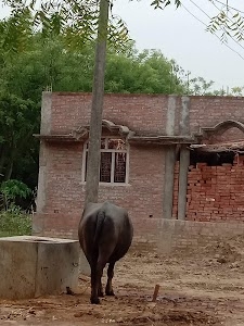 Neema Khurd Kala