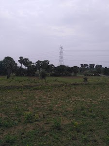 Mahuda
