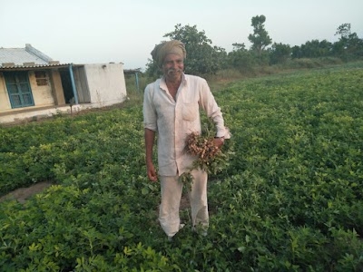 Naliya