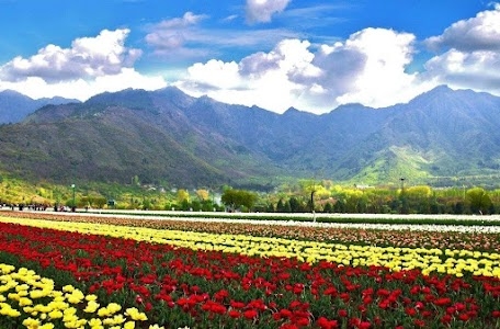 JUST Tours And Travels