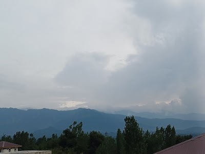 Kashmiri pandit colony vessu