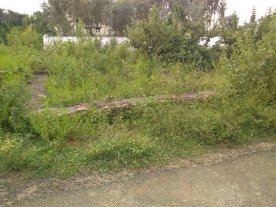 Kalyan's Hema Gardens